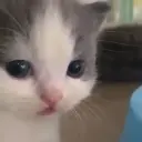Resow